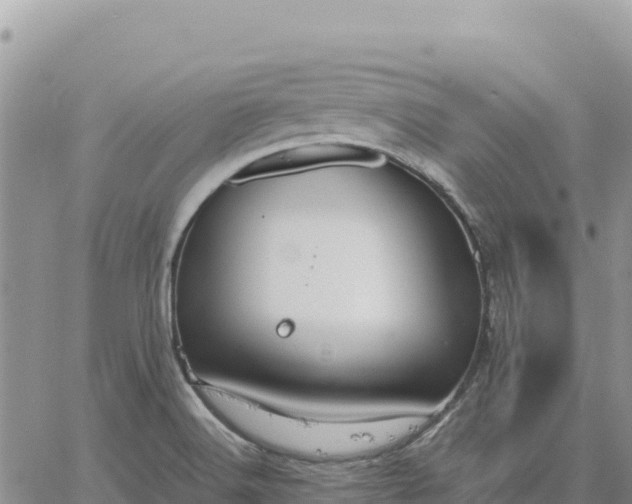 X0000064771516200602171811