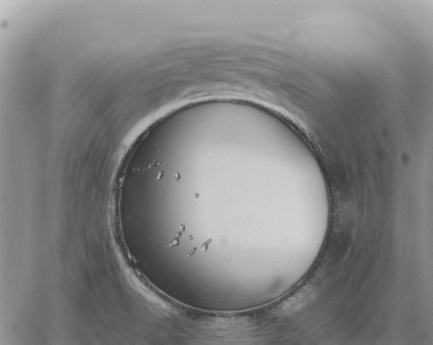 X0000064771518200602171811