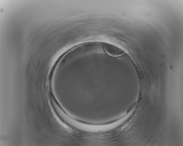 X0000064771519200602171811