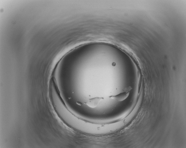 X0000064771520200602171811