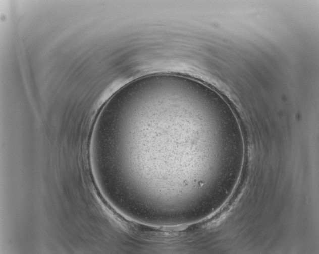 X0000064771521200602171811