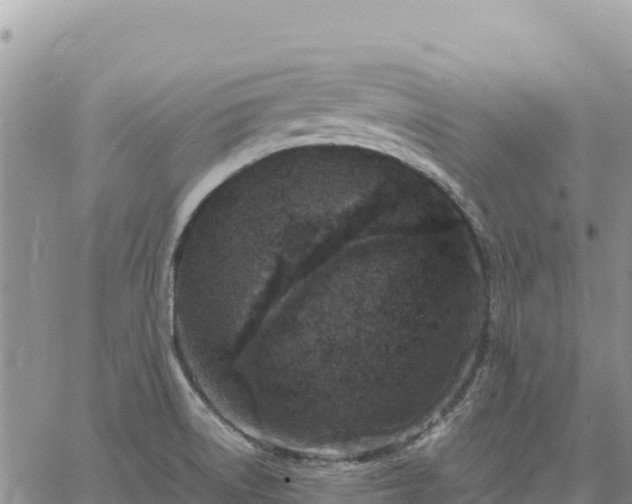 X0000064771522200602171811