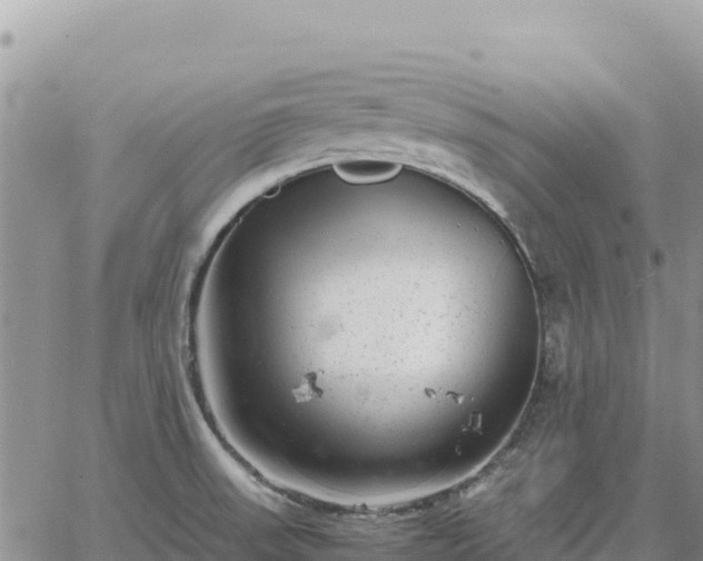 X0000064771523200602171811