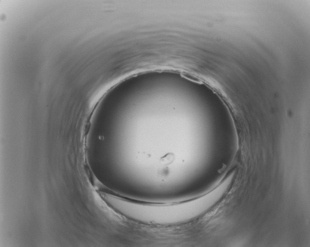 X0000064771524200602171811