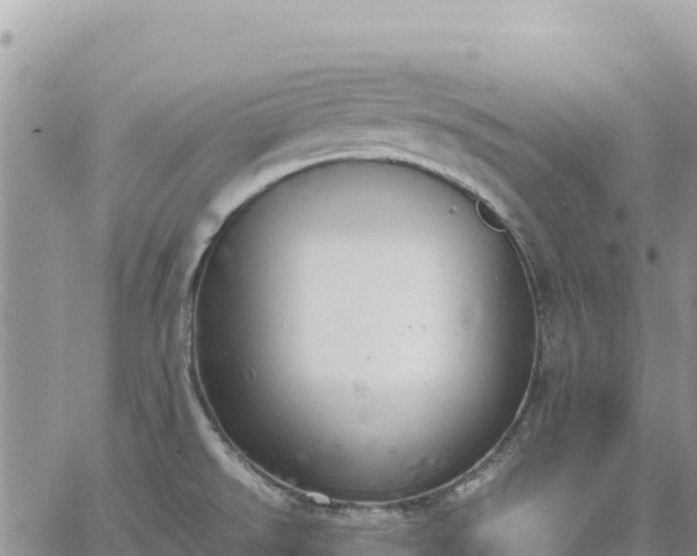 X0000064771526200602171811