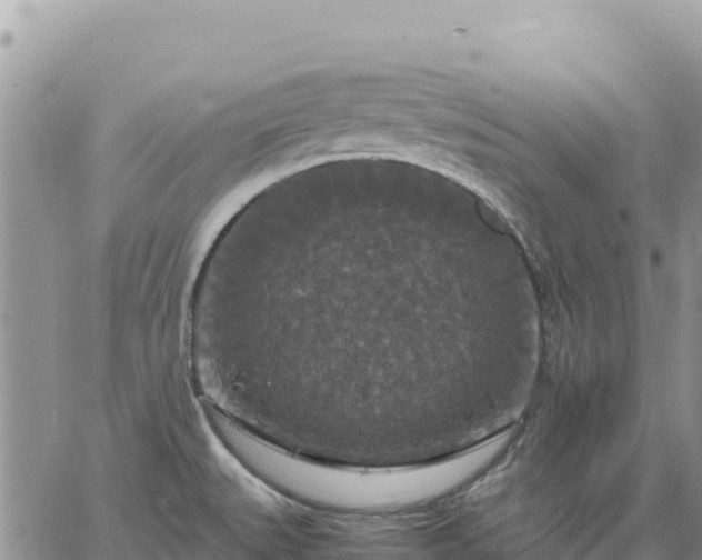 X0000064771527200602171811