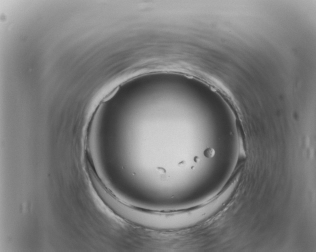 X0000064771528200602171811