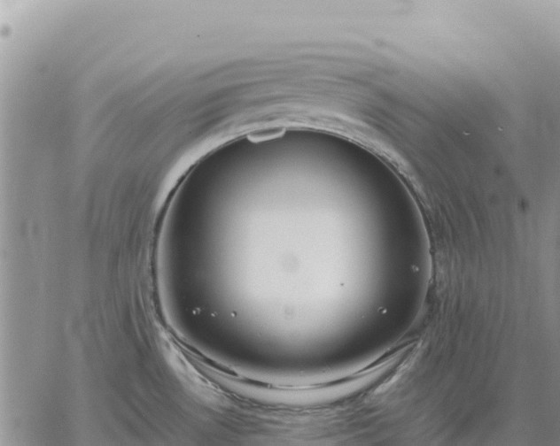 X0000064771530200602171811