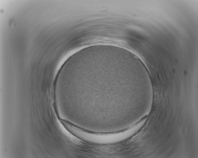 X0000064771531200602171811