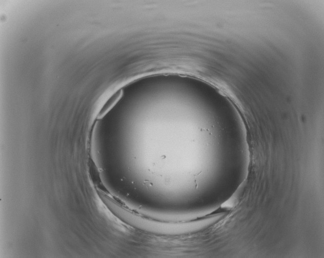 X0000064771532200602171812