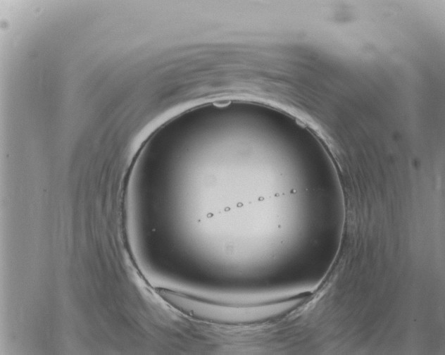 X0000064771534200602171812