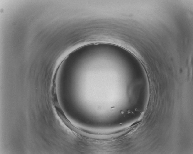 X0000064771536200602171812