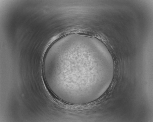 X0000064770003200602242012