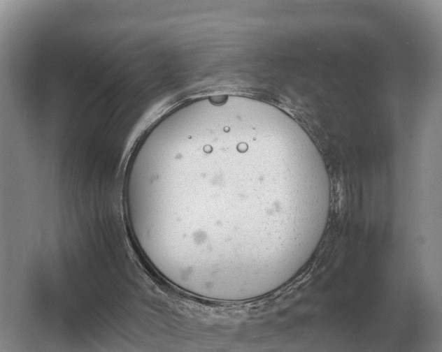 X0000064770004200602242012