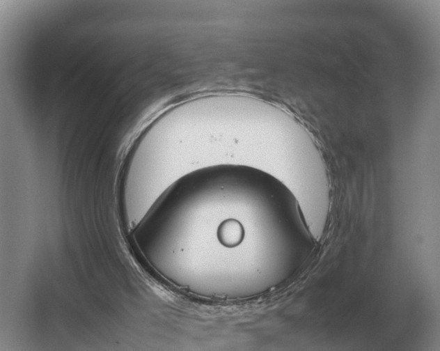 X0000064770005200602242012