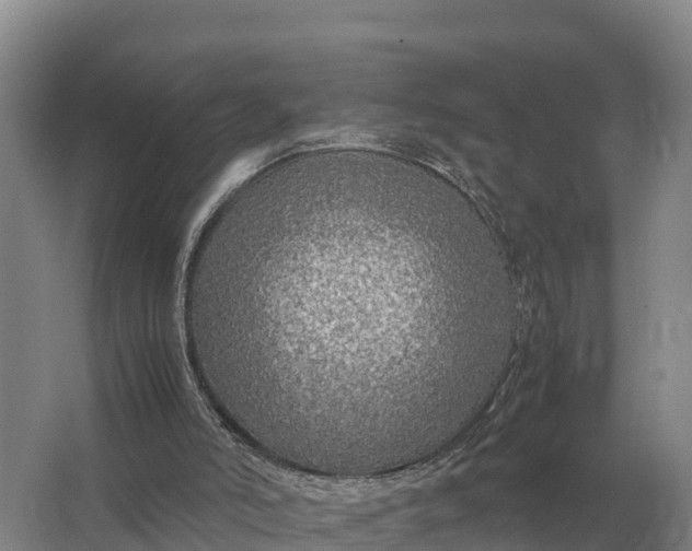 X0000064770006200602242012