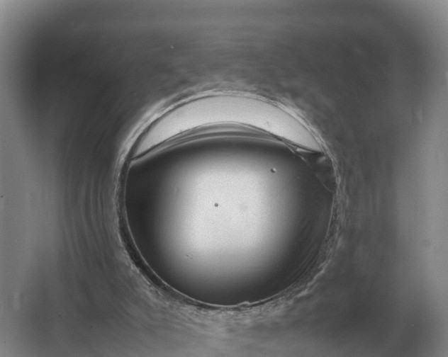 X0000064770007200602242012