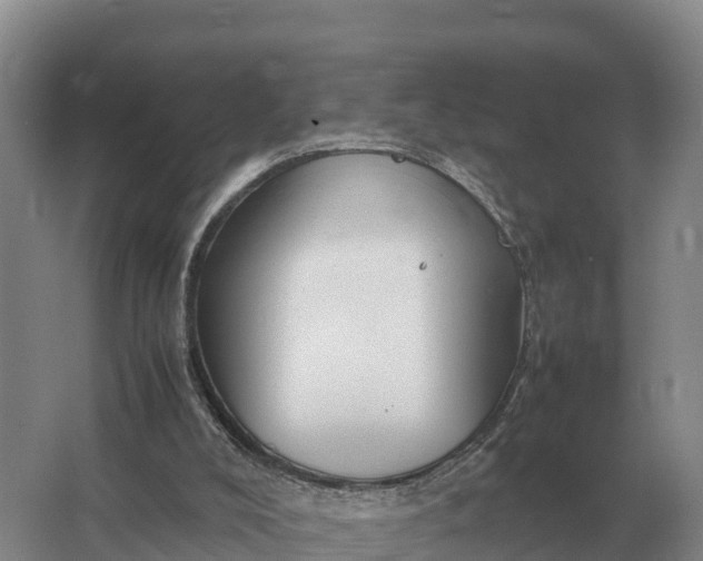 X0000064770008200602242011