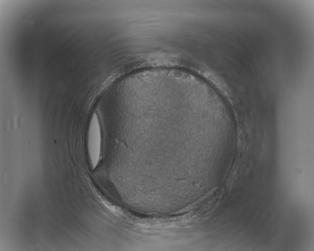 X0000064770009200602242011