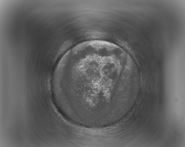 X0000064770010200602242011