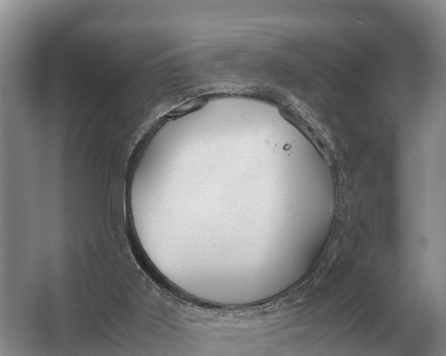 X0000064770011200602242011