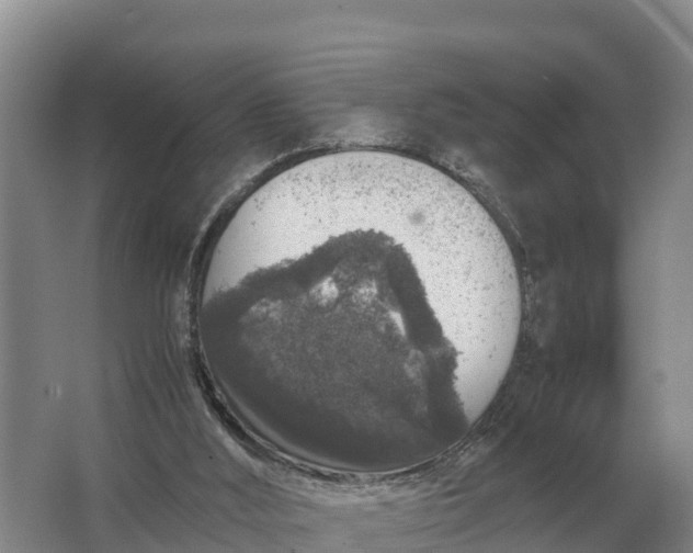 X0000064770012200602242011