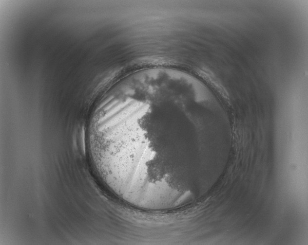 X0000064770014200602242011