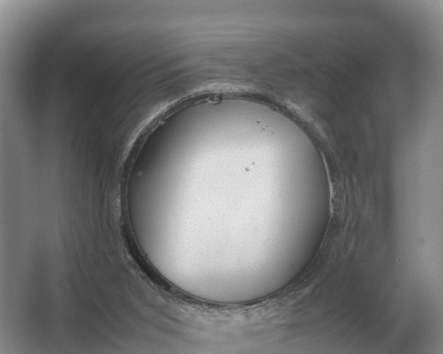 X0000064770015200602242011