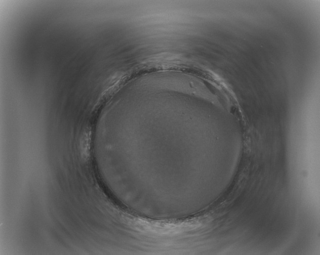 X0000064770018200602242011