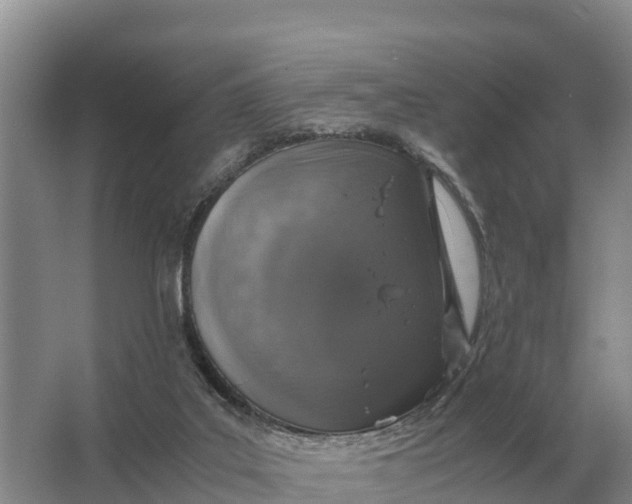 X0000064770019200602242011