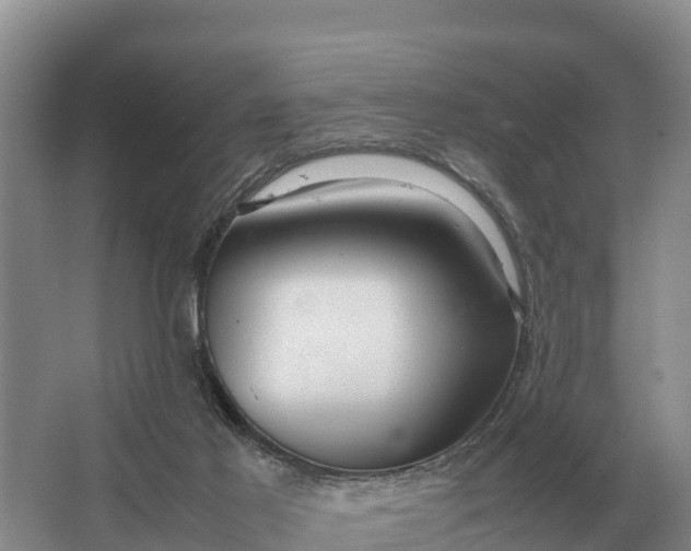 X0000064770021200602242011