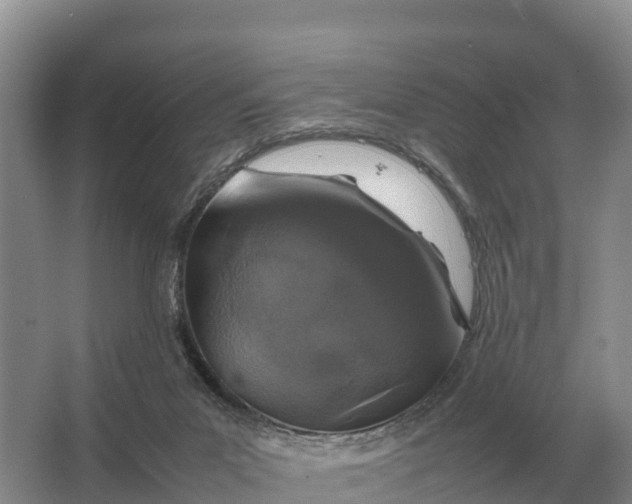 X0000064770023200602242011