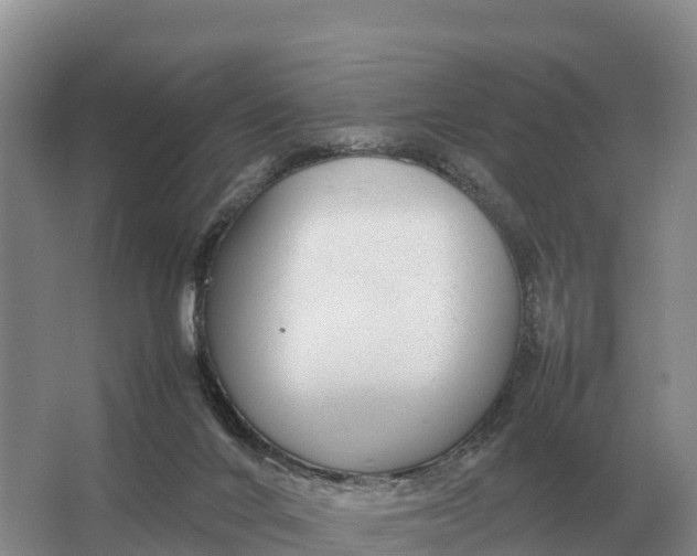 X0000064770024200602242011