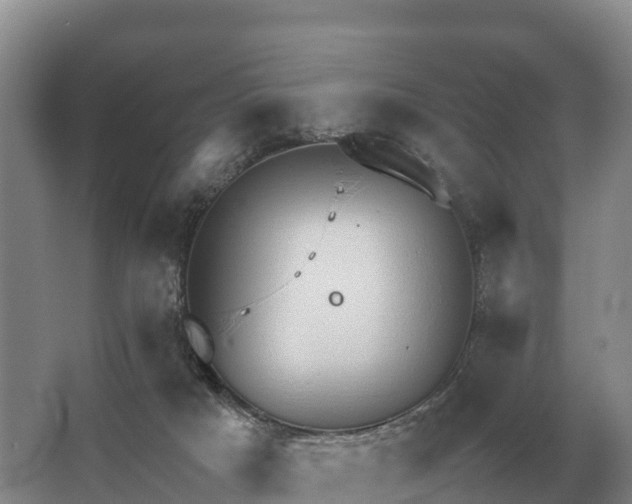 X0000064770025200602242011