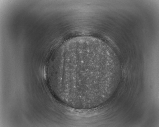 X0000064770026200602242011