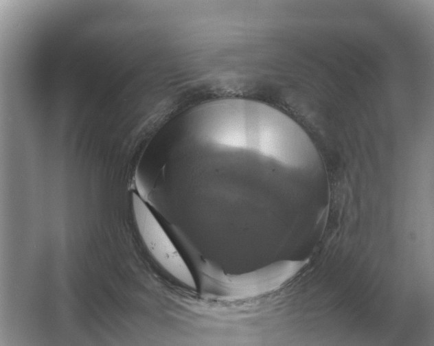 X0000064770027200602242011