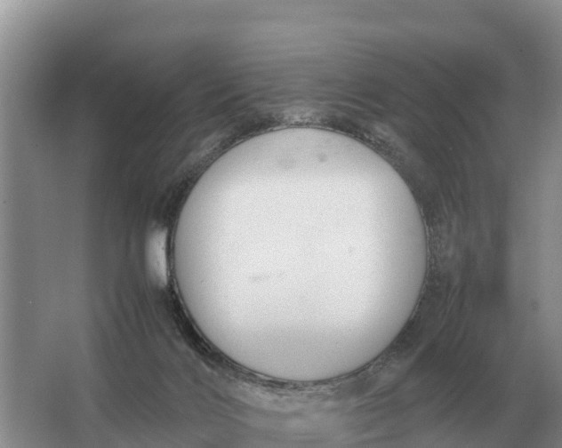 X0000064770028200602242011