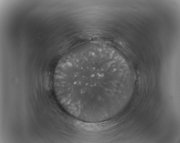 X0000064770030200602242011