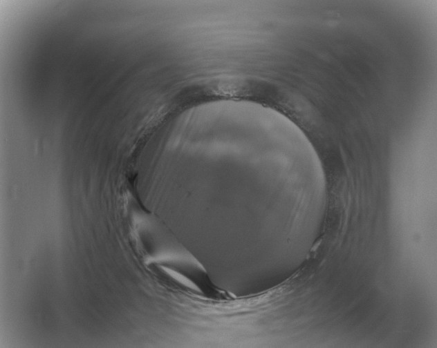 X0000064770031200602242011