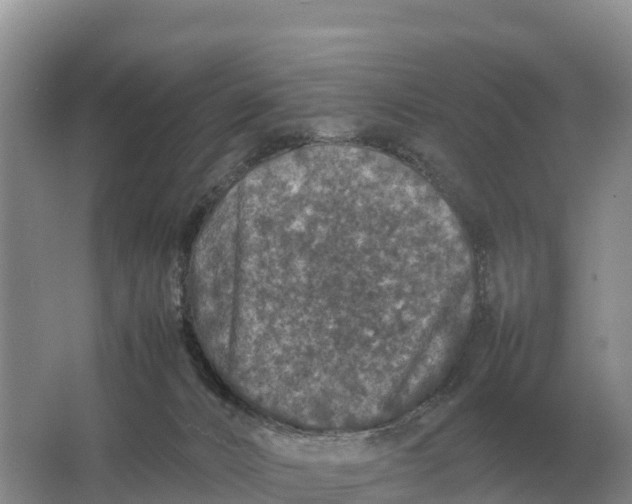 X0000064770032200602242011