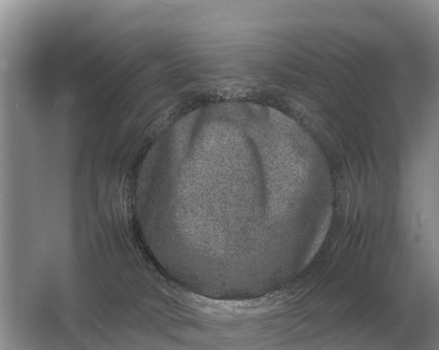 X0000064770034200602242011