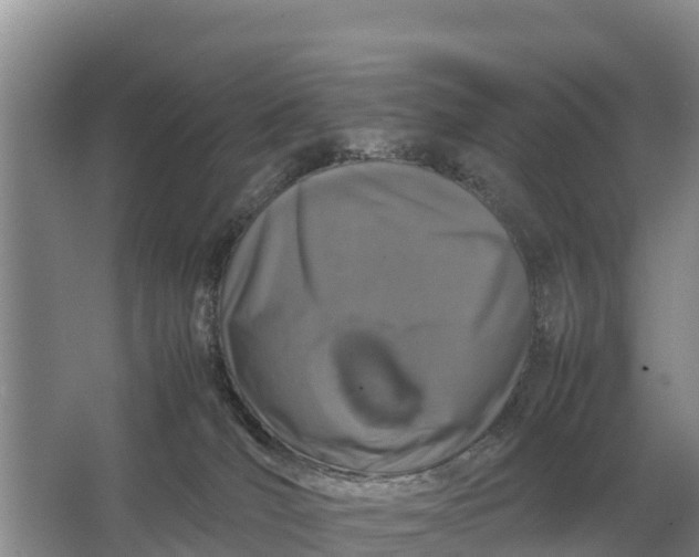 X0000064770036200602242011