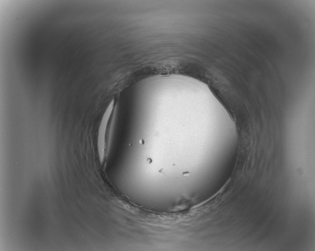 X0000064770037200602242011