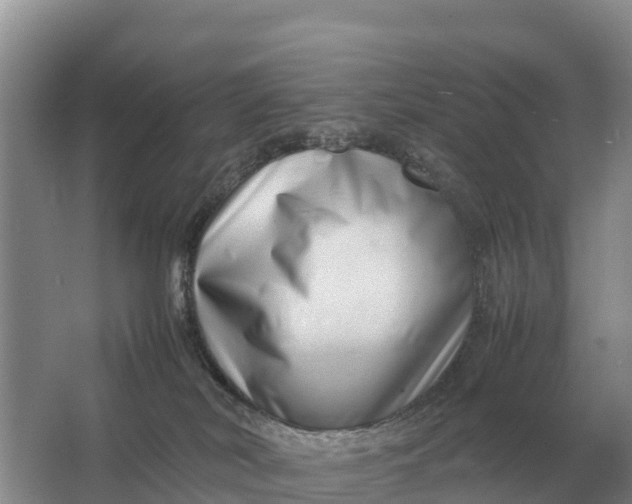 X0000064770038200602242011