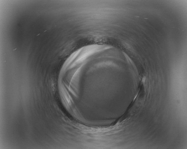 X0000064770039200602242011