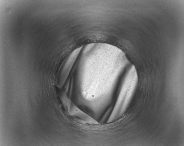 X0000064770040200602242011