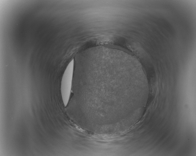 X0000064770041200602242011