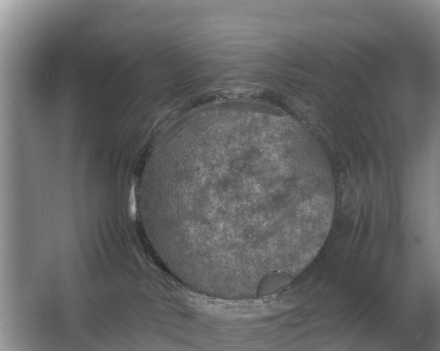 X0000064770042200602242011