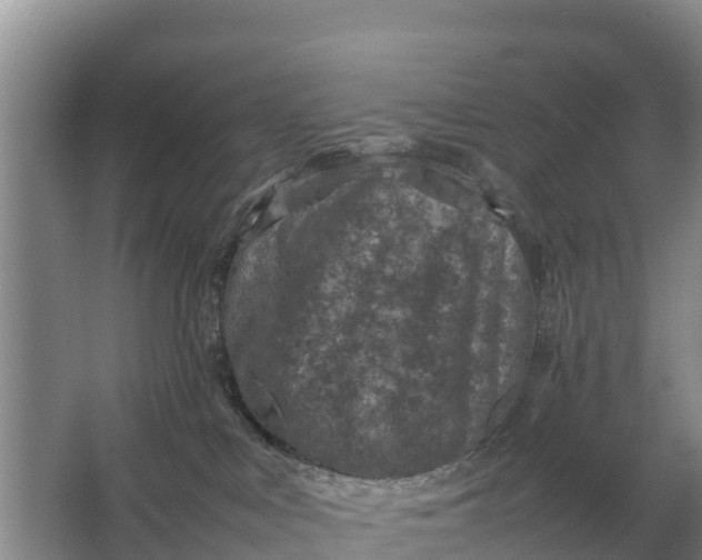 X0000064770043200602242011