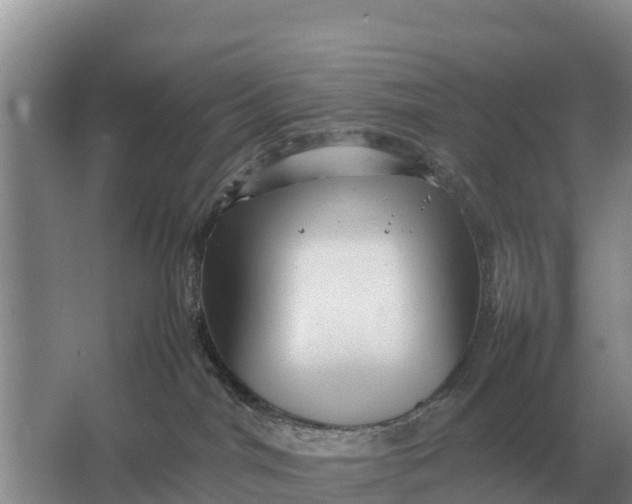 X0000064770044200602242011